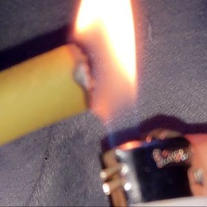 Meet your Posher, Bella